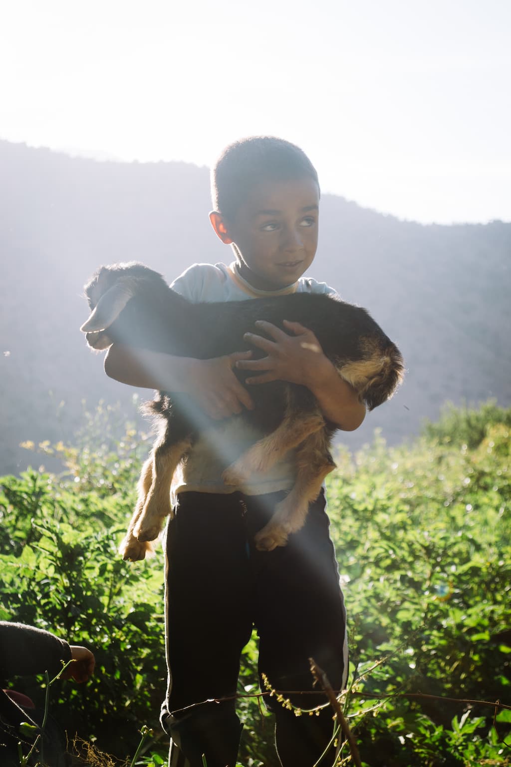 A young moroccan boy holding a goat