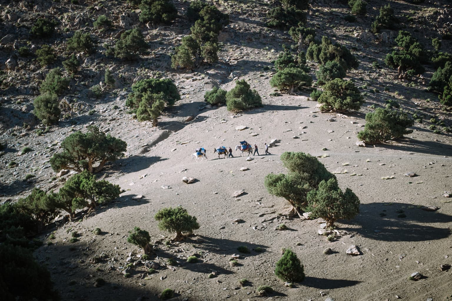 A group walking across a dusty hillside in the distance