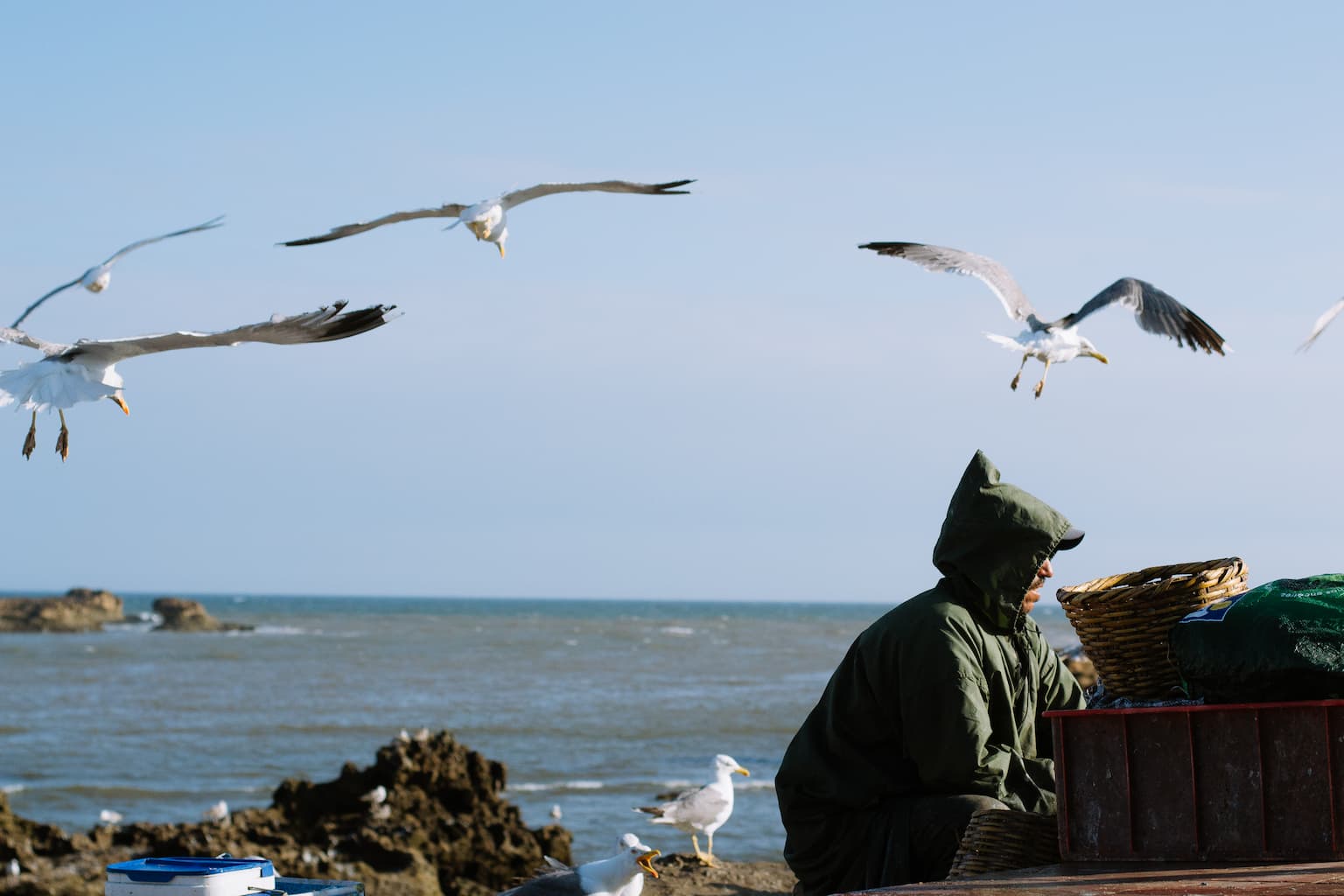 A fisherman surrounded by seagulls