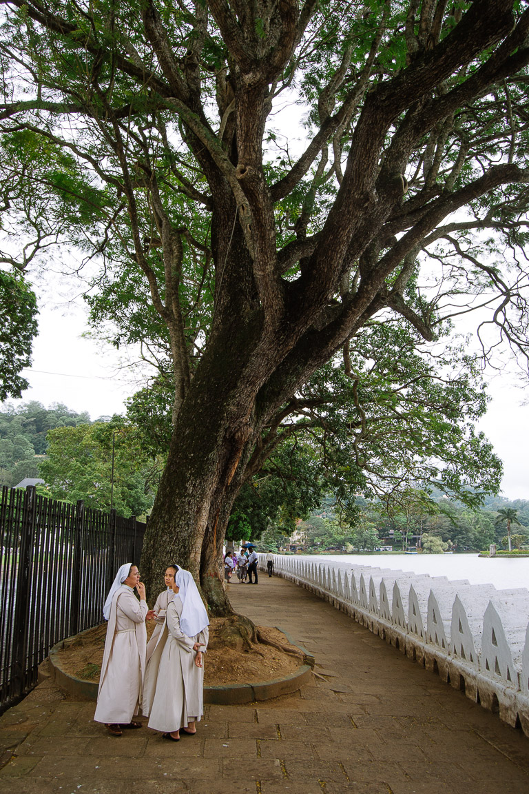 Three women wearnig white talk underneath a large tree