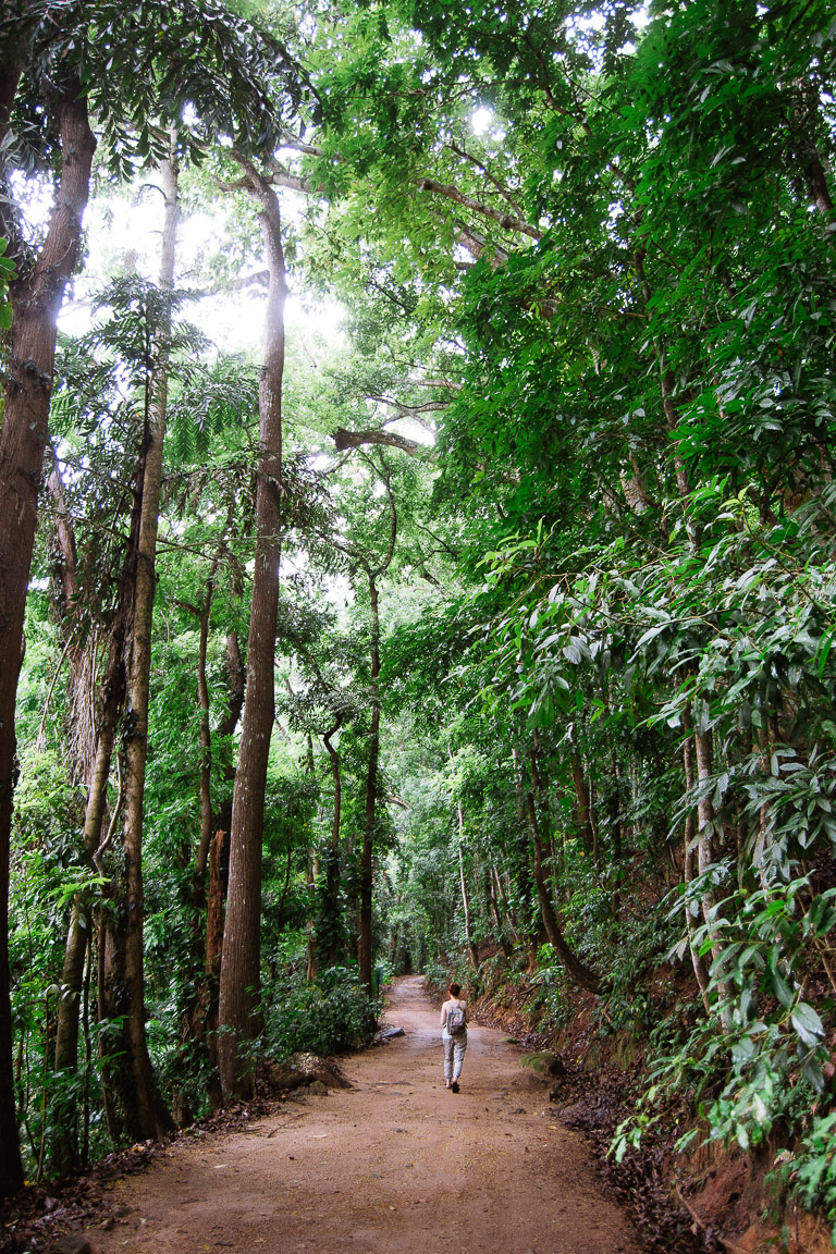 A girl walking along a path in the forest above Kandy