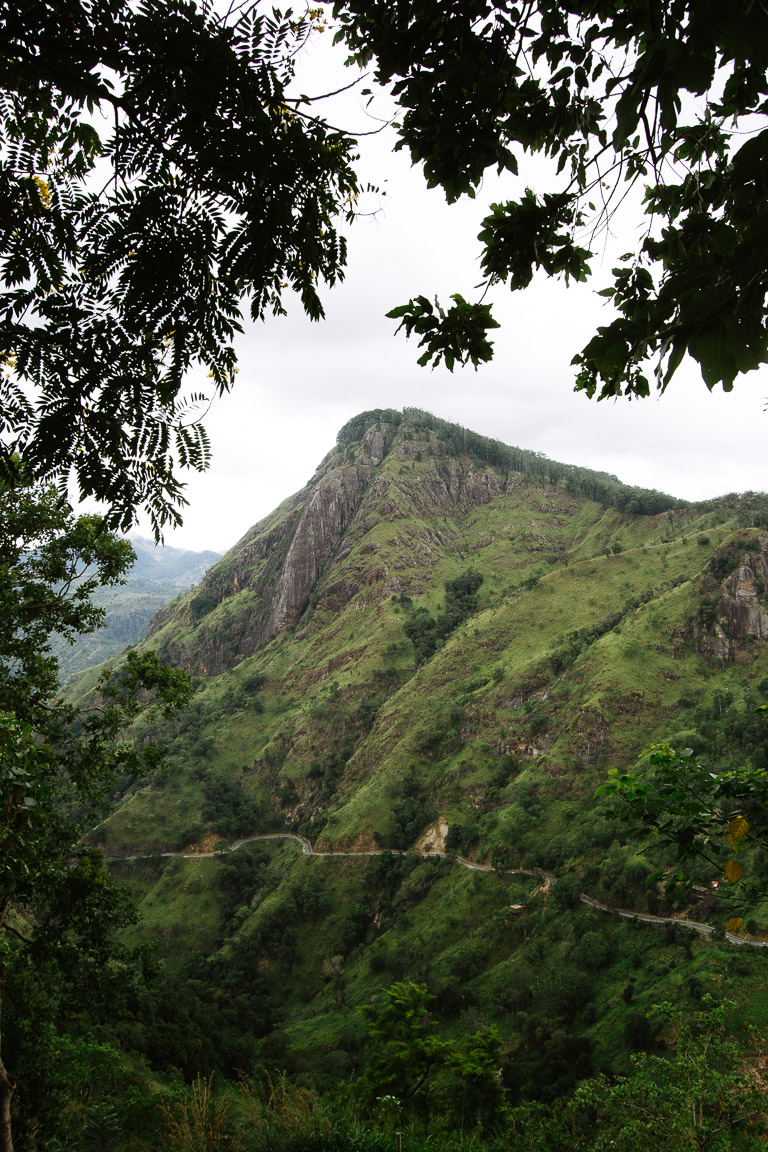 Ella rock from Little Adam's peak