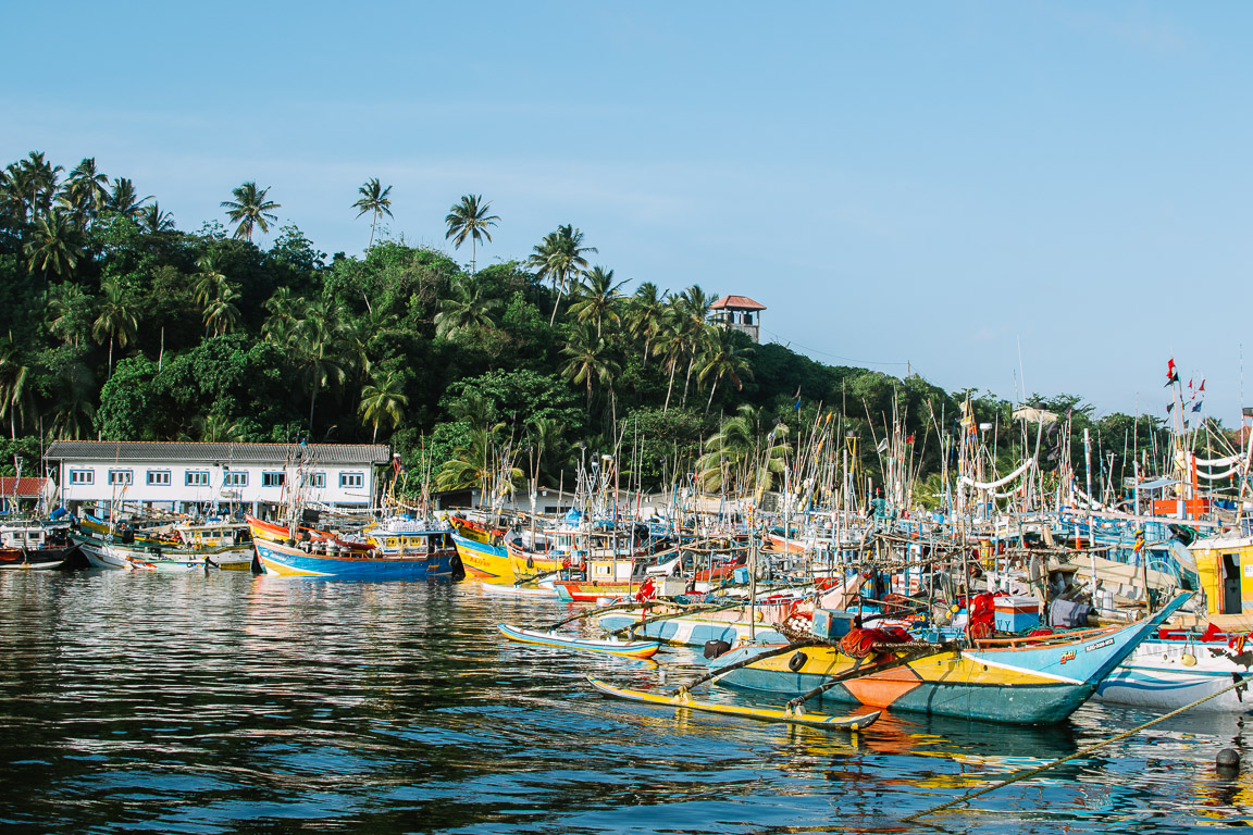 Colourful boats in a harbour